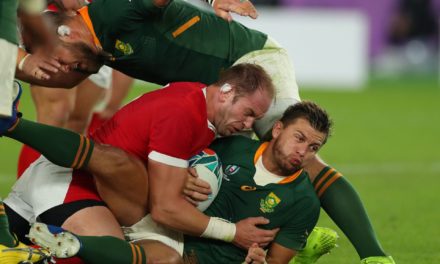 Sudáfrica el otro finalista en el mundial de rugby