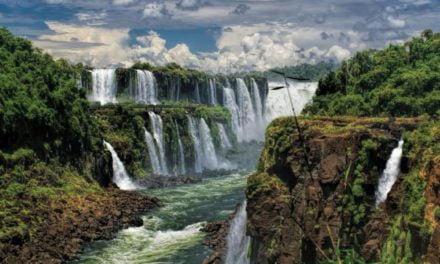 Reabrió el Parque Iguazú
