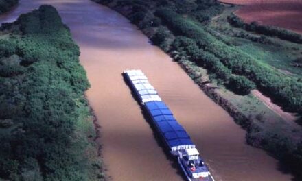 La administración de la navegación del Paraná vuelve al Estado Nacional